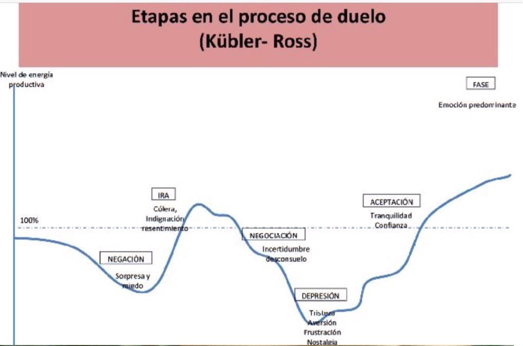 El ciclo del Duelo: Etapas en el Proceso del Duelo según el modelo de Kübler-Ross
