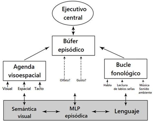 Modelo de Memoria de Trabajo de Baddeley y Hitch