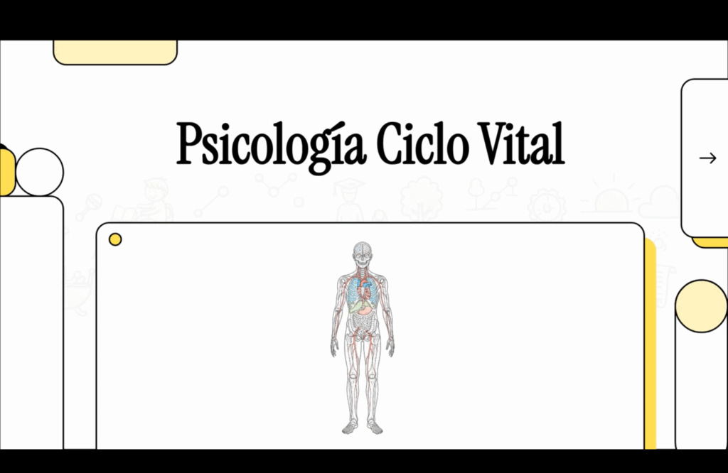 Psicología del ciclo vital: los 5 principios que explican el desarrollo humano